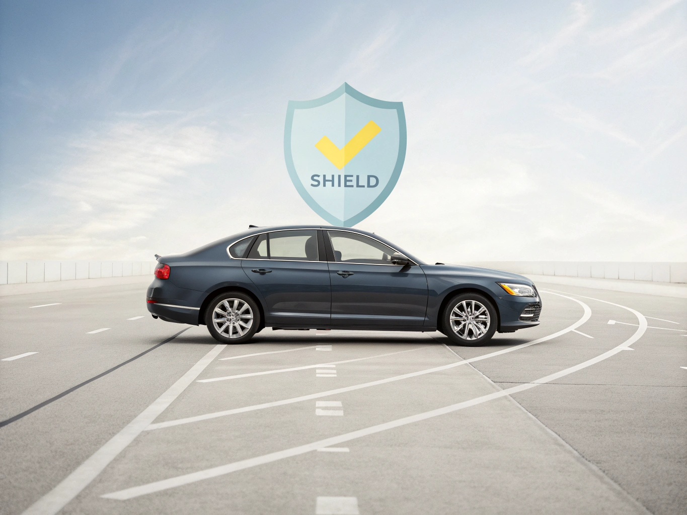 Professional car appraisal process